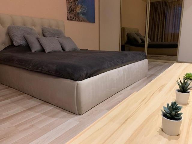 Oak Lounge Lux Apartment 里加 外观 照片