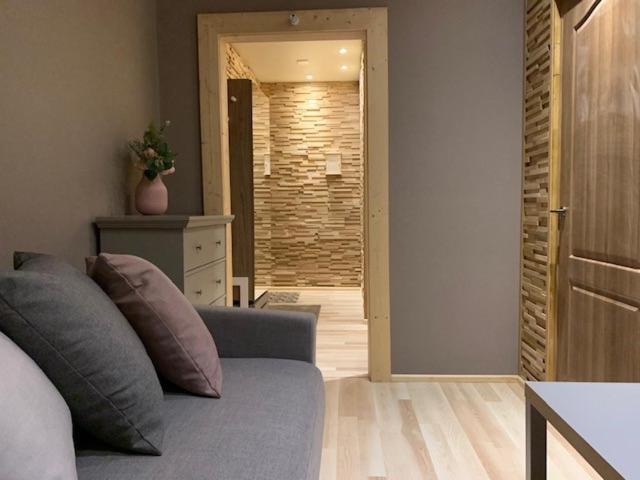 Oak Lounge Lux Apartment 里加 外观 照片